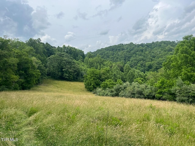 00 Manville Rd, Gate City, VA 24251 - photo 10