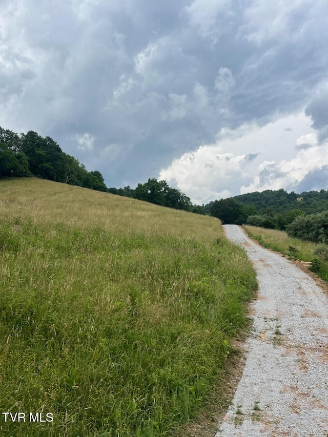 00 Manville Rd, Gate City, VA 24251 - photo 12