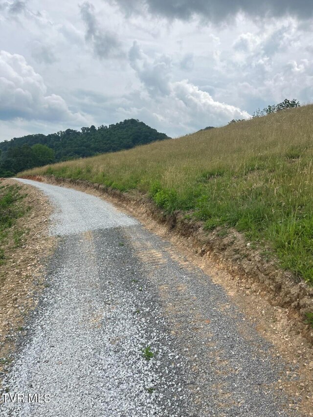 00 Manville Rd, Gate City, VA 24251 - photo 3