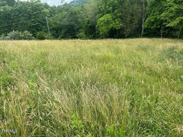 00 Manville Rd, Gate City, VA 24251 - photo 14