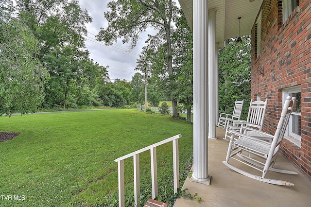 205 Pond Springs W Road, Kingsport, TN 37664 - photo 5