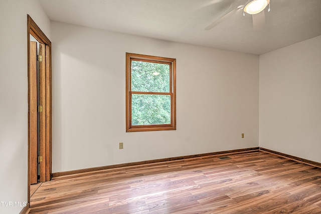 205 Pond Springs W Road, Kingsport, TN 37664 - photo 31