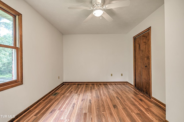 205 Pond Springs W Road, Kingsport, TN 37664 - photo 32