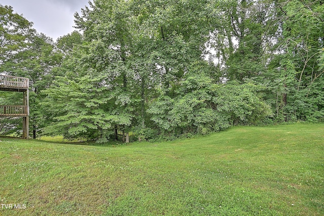 205 Pond Springs W Road, Kingsport, TN 37664 - photo 47