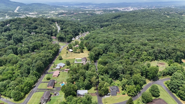 205 Pond Springs W Road, Kingsport, TN 37664 - photo 50