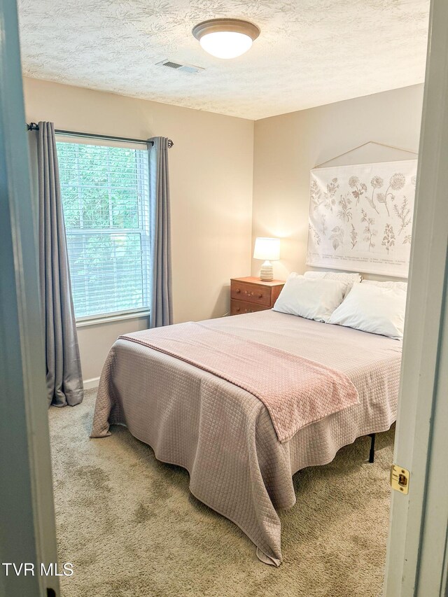 1032 Sugar Creek Ln, Knoxville, TN 37920 - photo 20