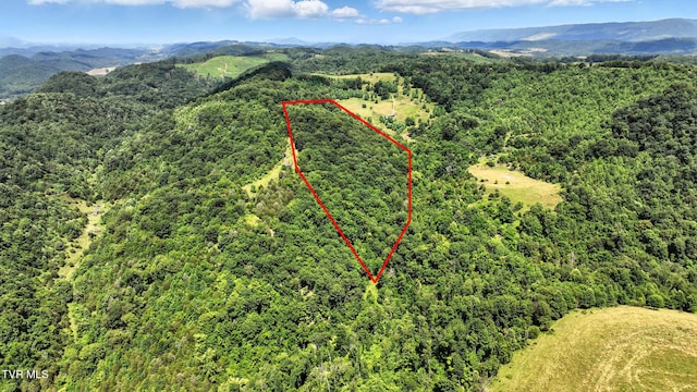 Tbd Century Farm, Castlewood, VA 24224