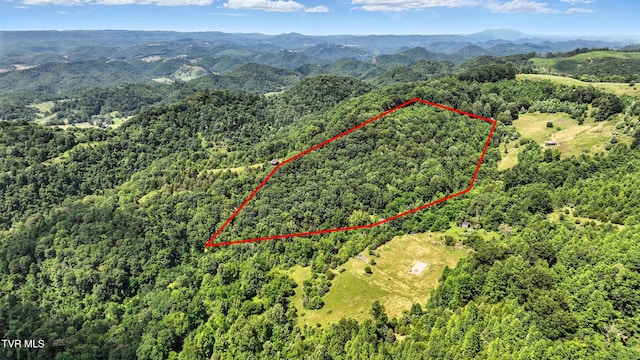 Tbd Century Farm, Castlewood, VA 24224