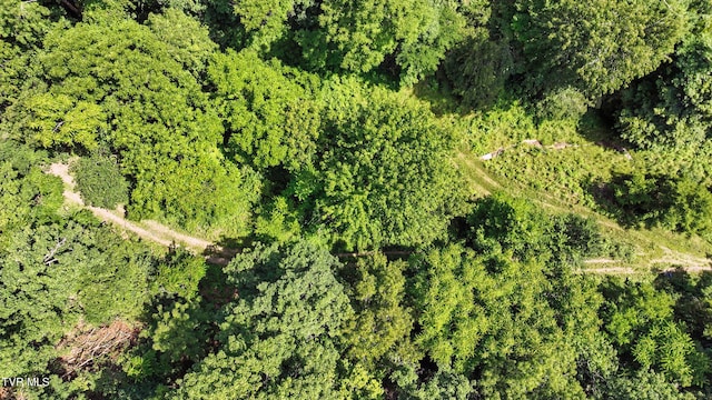 Tbd Century Farm, Castlewood, VA 24224