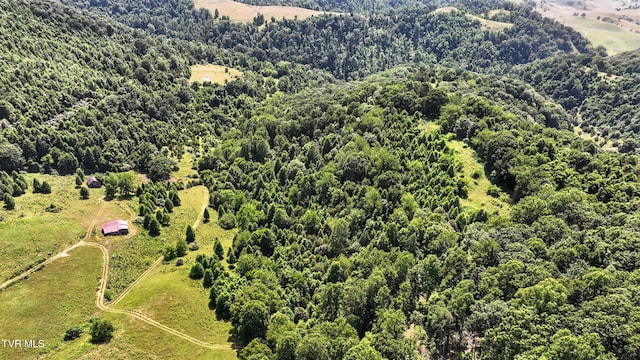 Tbd Century Farm, Castlewood, VA 24224