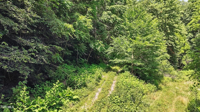 Tbd Century Farm, Castlewood, VA 24224