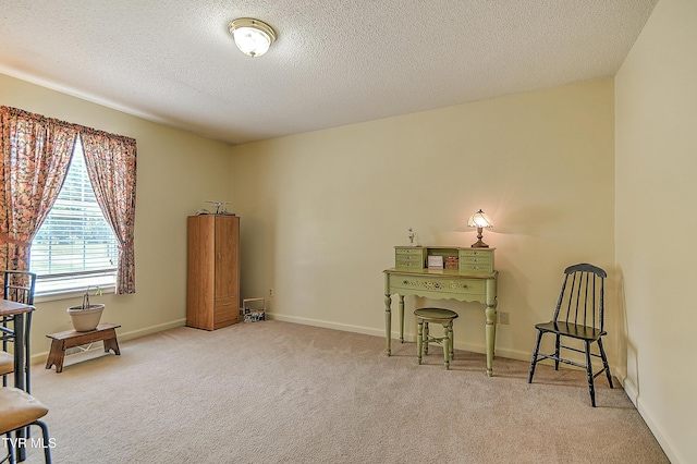103 Jenny Ln, Jonesborough, TN 37659 - living area featuring carpet and a textured ceiling