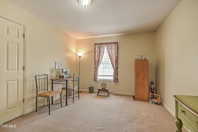 103 Jenny Ln, Jonesborough, TN 37659 - living area with a textured ceiling and carpet flooring