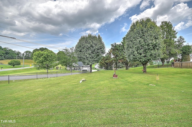 103 Jenny Ln, Jonesborough, TN 37659 - view of yard