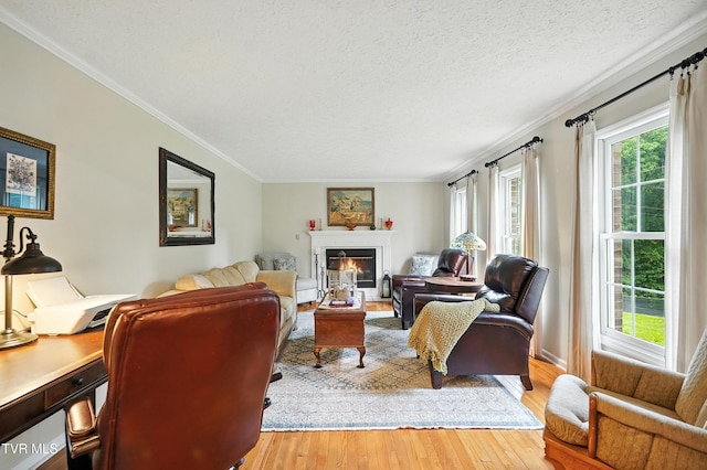 209 Timberland Cir, Kingsport, TN 37664 - living room featuring crown molding, wood finished floors, a textured ceiling, and a glass covered fireplace