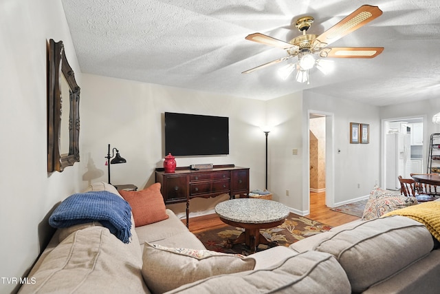 209 Timberland Cir, Kingsport, TN 37664 - living room with wood finished floors, ceiling fan, and a textured ceiling