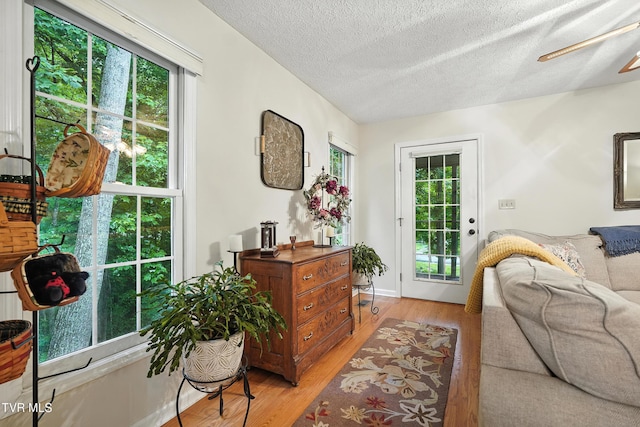 209 Timberland Cir, Kingsport, TN 37664 - living area with light wood-type flooring and a textured ceiling