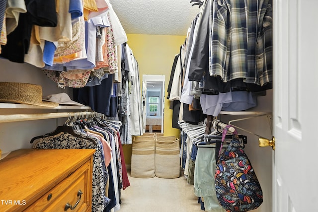 209 Timberland Cir, Kingsport, TN 37664 - walk in closet featuring carpet floors