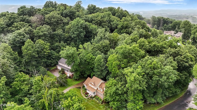 209 Timberland Cir, Kingsport, TN 37664 - view from above of property featuring a forest