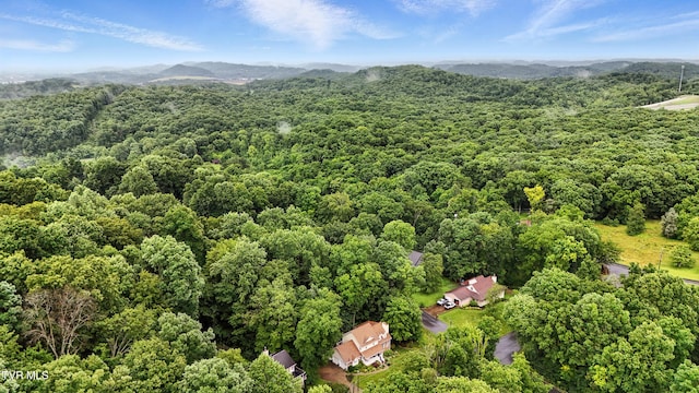 209 Timberland Cir, Kingsport, TN 37664 - aerial view of a forest and mountains