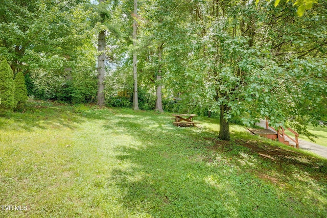 49 24th St, Bristol, TN 37620 - view of grassy yard