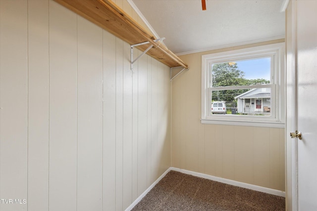 1449 E Sevier Ave, Kingsport, TN 37664 - spacious closet with carpet flooring