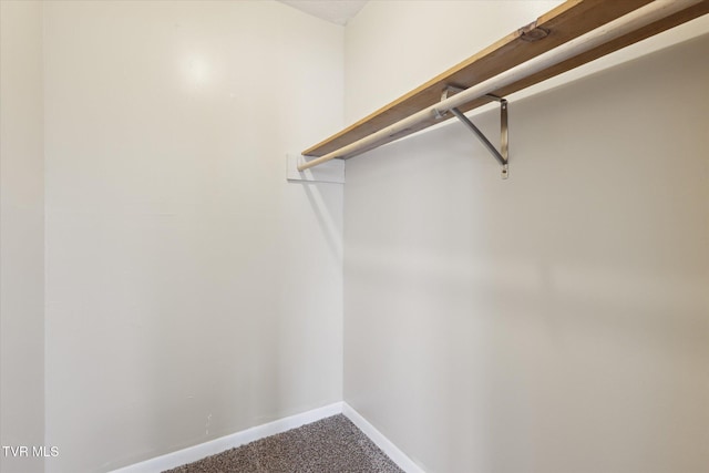 1449 E Sevier Ave, Kingsport, TN 37664 - spacious closet featuring carpet