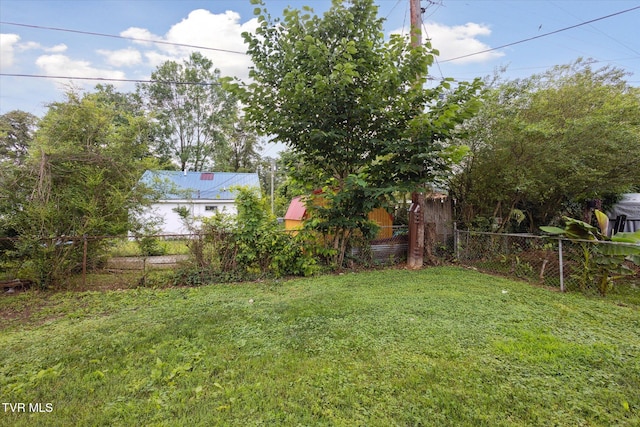 1449 E Sevier Ave, Kingsport, TN 37664 - view of yard