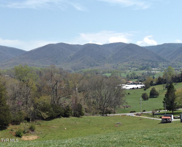 855 Willow Springs Rd, Elizabethton, TN 37643 - photo 2