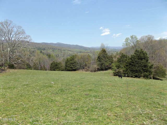 855 Willow Springs Rd, Elizabethton, TN 37643 - photo 6