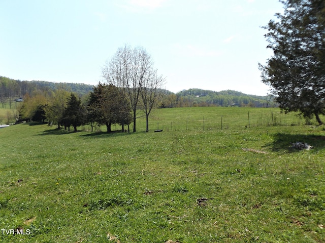 855 Willow Springs Rd, Elizabethton, TN 37643 - photo 17