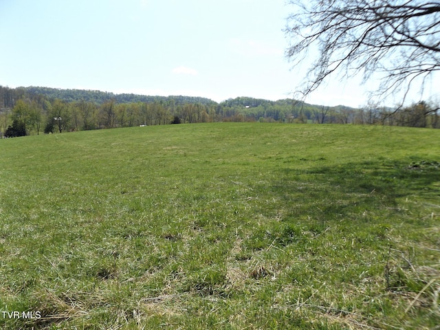 855 Willow Springs Rd, Elizabethton, TN 37643 - photo 19