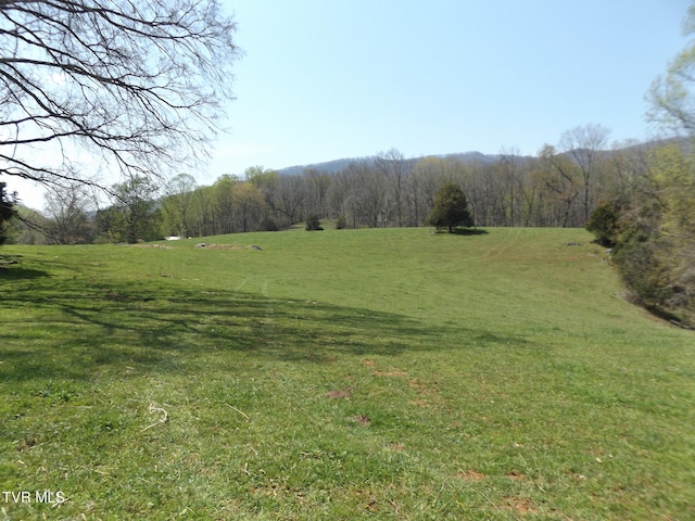 855 Willow Springs Rd, Elizabethton, TN 37643 - photo 12