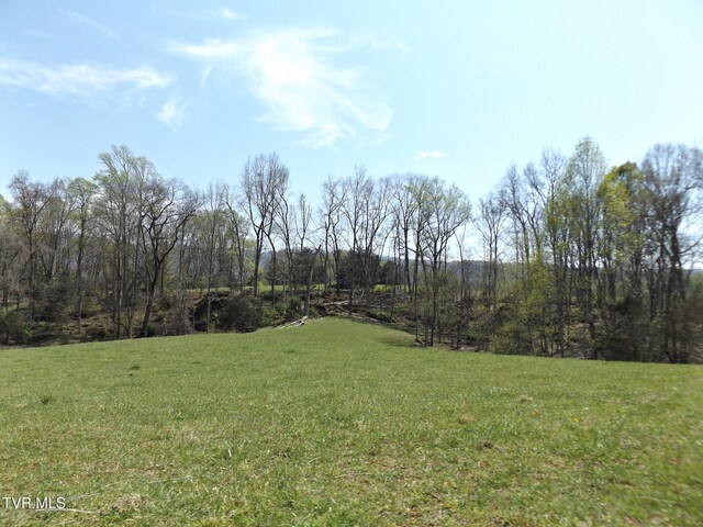 855 Willow Springs Rd, Elizabethton, TN 37643 - photo 20