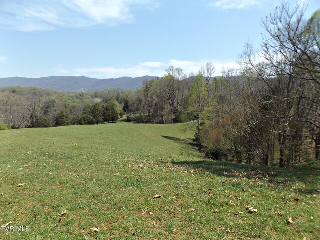 855 Willow Springs Rd, Elizabethton, TN 37643 - photo 22