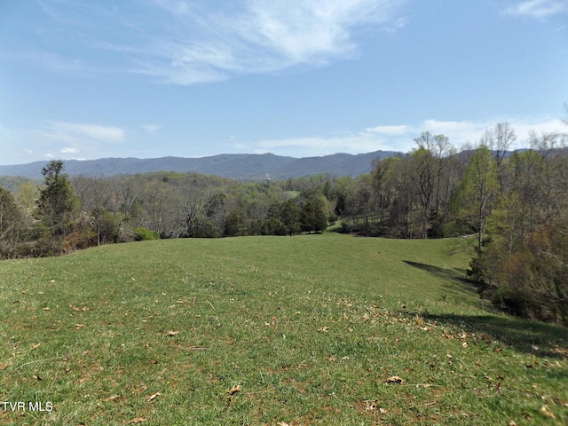855 Willow Springs Rd, Elizabethton, TN 37643 - photo 10
