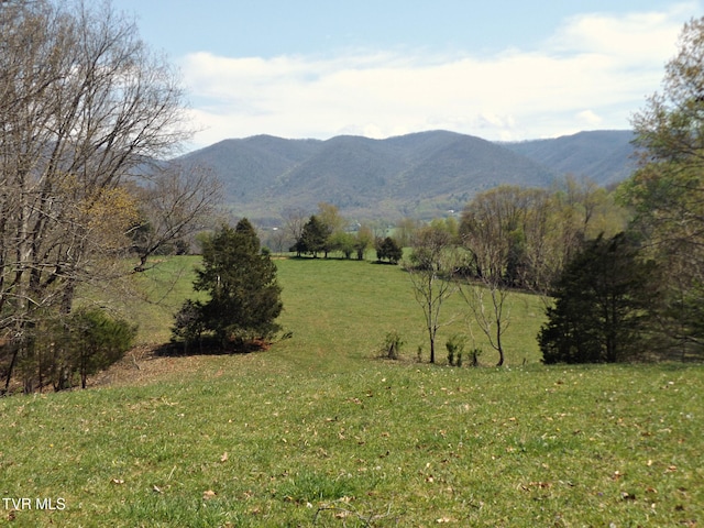 855 Willow Springs Rd, Elizabethton, TN 37643 - photo 1