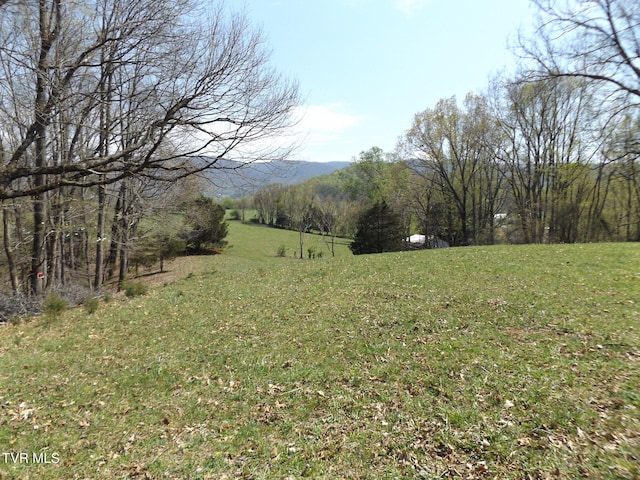 855 Willow Springs Rd, Elizabethton, TN 37643 - photo 24