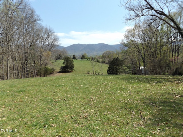 855 Willow Springs Rd, Elizabethton, TN 37643 - photo 15