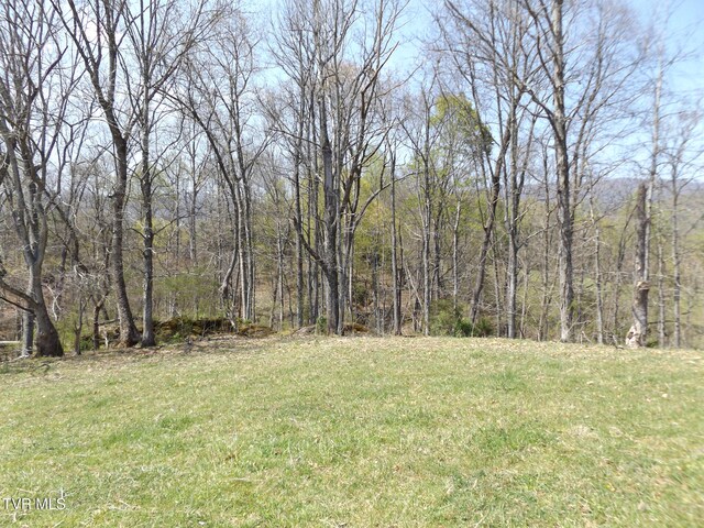 855 Willow Springs Rd, Elizabethton, TN 37643 - photo 26
