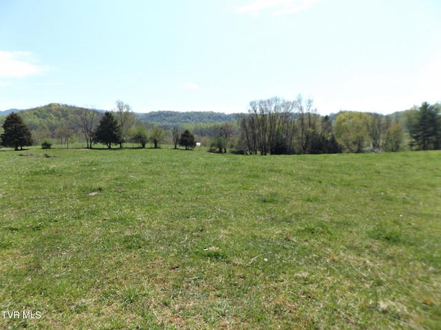 855 Willow Springs Rd, Elizabethton, TN 37643 - photo 23