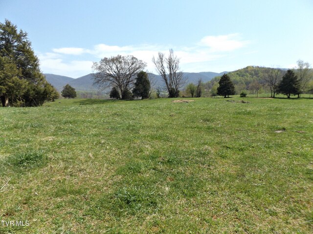 855 Willow Springs Rd, Elizabethton, TN 37643 - photo 27