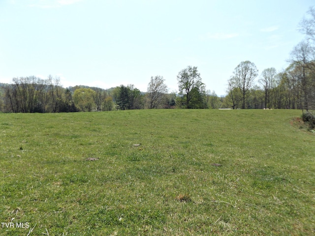 855 Willow Springs Rd, Elizabethton, TN 37643 - photo 21