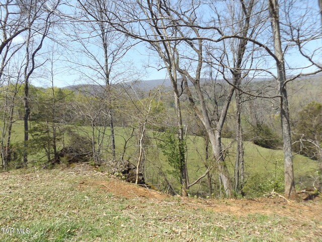 855 Willow Springs Rd, Elizabethton, TN 37643 - photo 28