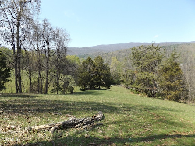 855 Willow Springs Rd, Elizabethton, TN 37643 - photo 47