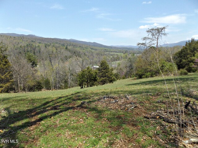 855 Willow Springs Rd, Elizabethton, TN 37643 - photo 48