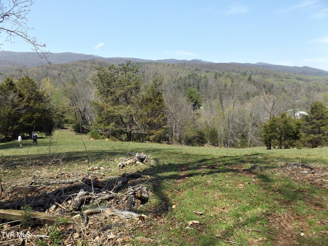 855 Willow Springs Rd, Elizabethton, TN 37643 - photo 53