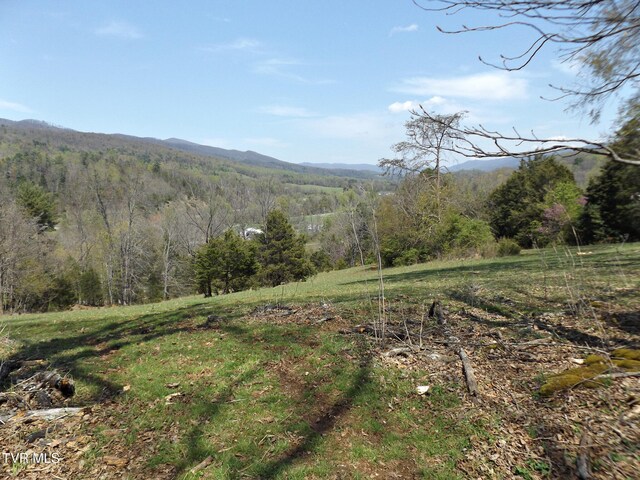 855 Willow Springs Rd, Elizabethton, TN 37643 - photo 29