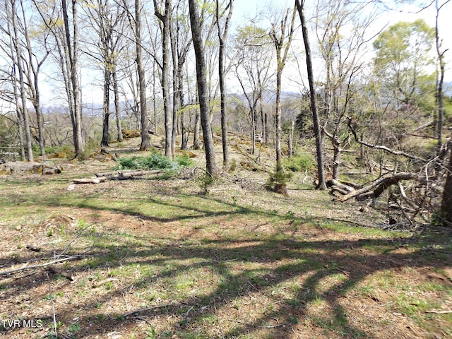 855 Willow Springs Rd, Elizabethton, TN 37643 - photo 52