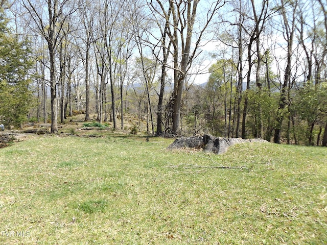855 Willow Springs Rd, Elizabethton, TN 37643 - photo 30